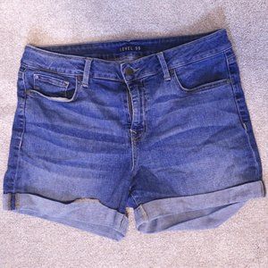 Level 99 Summer Storm/Megan Denim Short